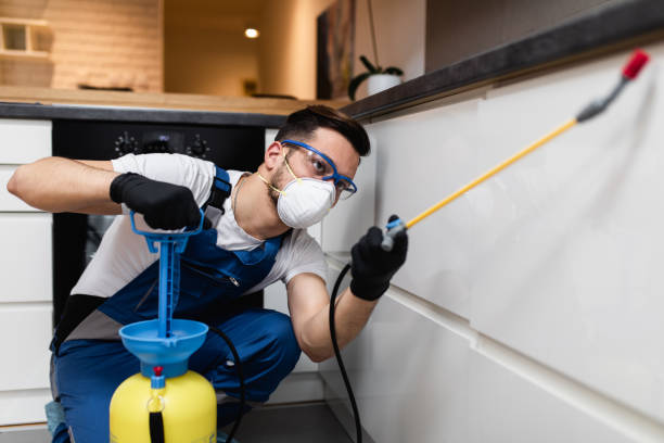 Best Pest Control Near Me in Brinkley, AR