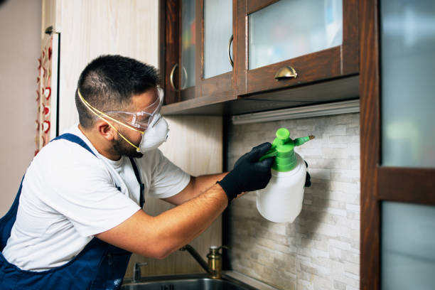 Best Residential Pest Control  in Brinkley, AR