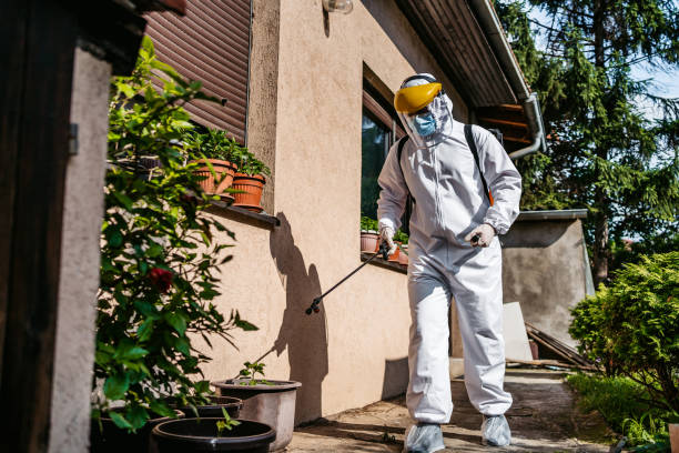 Best Exterminator Services  in Brinkley, AR