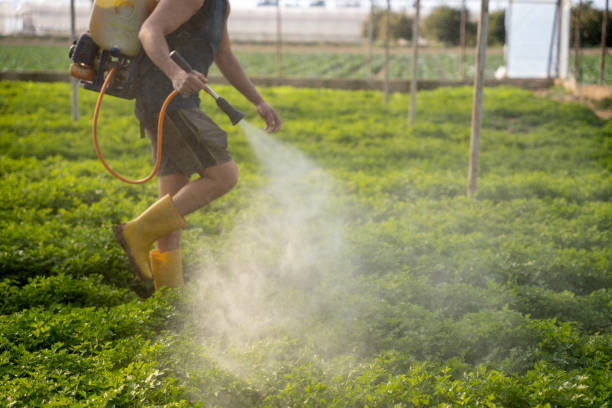 Best Pest Removal Services  in Brinkley, AR