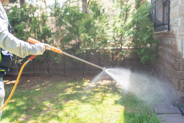 Best Best Pest Control Companies  in Brinkley, AR