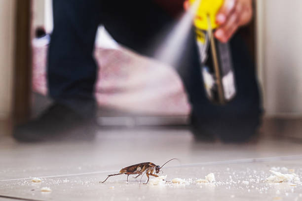 Best Affordable Pest Control Services  in Brinkley, AR