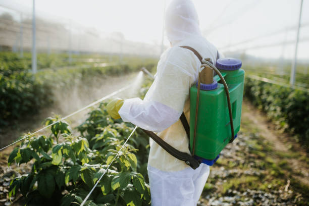 Best Flea Control Services  in Brinkley, AR